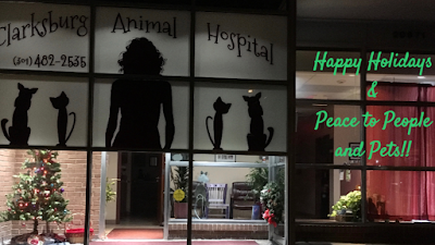 Clarksburg Animal Hospital