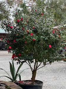 Lake Keystone Tree Farm; Inc. 10386 Tarpon Springs Rd, Odessa, FL 33556