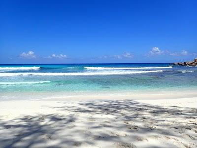 photo of Anse Cocos beach