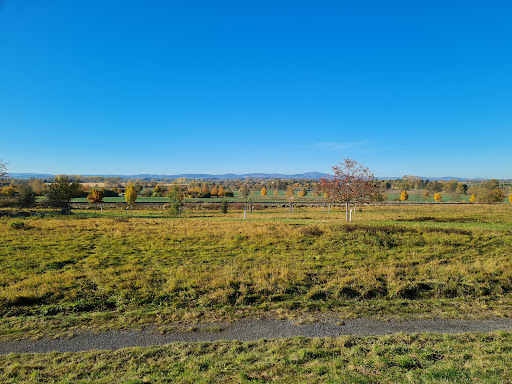 Bürgerpark Gotha - Visual