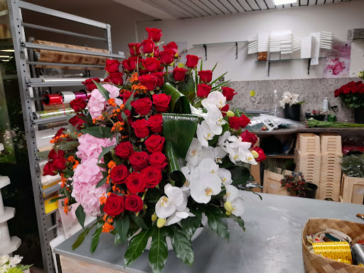 St Cyr Fleurs - Thumbnail