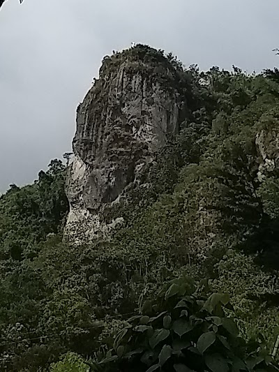 Photos of Reserva Natural Cerro Gobia