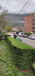 Photo n°8 de NOWAK PAYSAGE à Moirans (Paysagiste)
