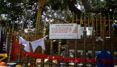 Photos of Kataragama Sacred Bo Tree