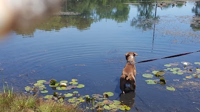 Photos of Rieger Park