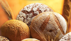 Photo n°1 de L'Epi Lyonnais à Saint-Quentin-Fallavier (Grossiste en boulangerie)