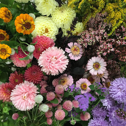 Fleurs Sauvages - Charline Bernard