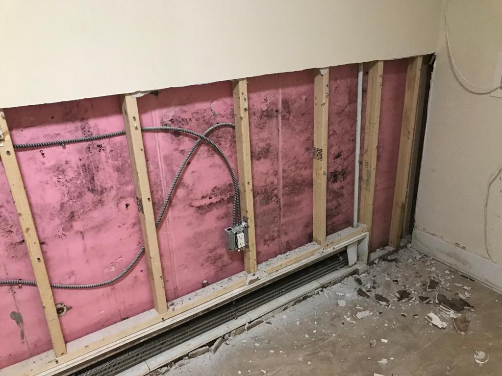 Long Island Best Mold Removal photo