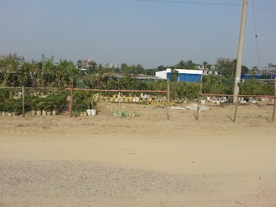 Photos of The Pitch Cafe