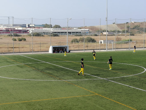 Campo Municipal de Fútbol Fernando Quiñones