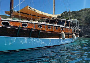 BODRUM TEKNE TURU