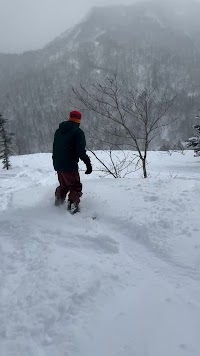 ストライプス stripes!