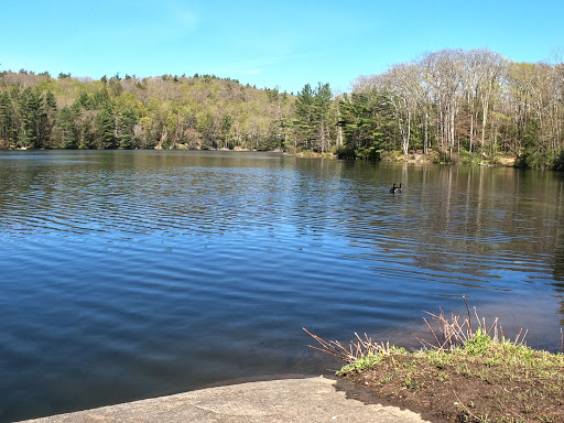 Catamount State Forest - Visual