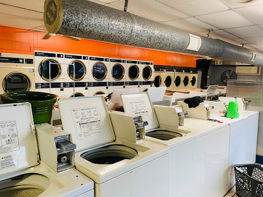 Bertha Laundry - Visual