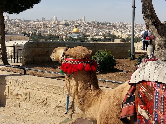Église du Pater Noster