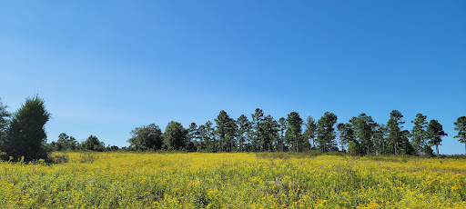 DiLane Dove Field 2 - Thumbnail