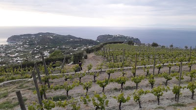 Photos of Hotel Parco delle Agavi