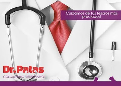Photos of Dr. Patas