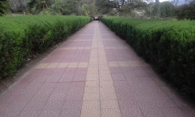 Photos of አለማያ ዩንቨርስቲ | Haramaya Univeristy