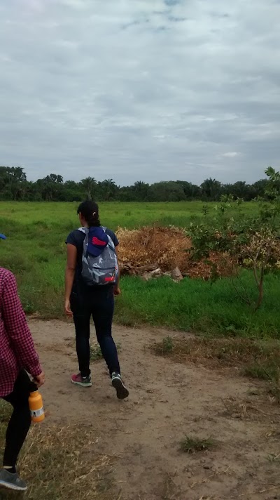 Photos of finca Campo Alegre