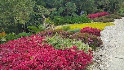Photos of Arv&iacute; Park Medellin Colombia