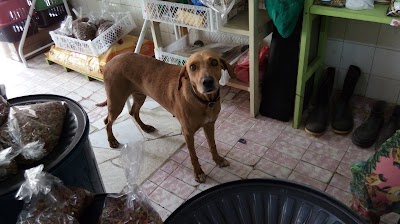 Photos of Armaz&eacute;m Rural e Pet Shop