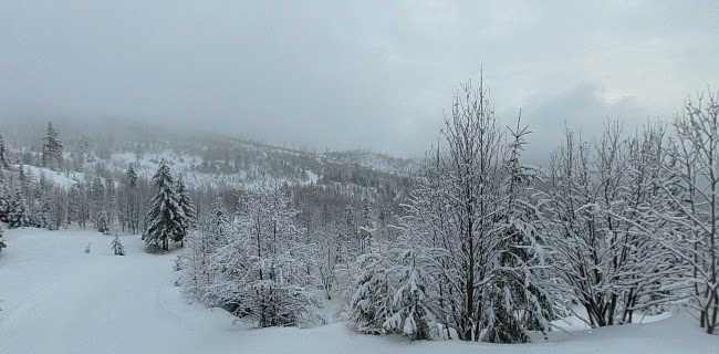 Areál bežeckého lyžovania SNOW Štrbské Pleso Telefónne číslo