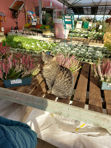 Louth Garden Centre - Thumbnail