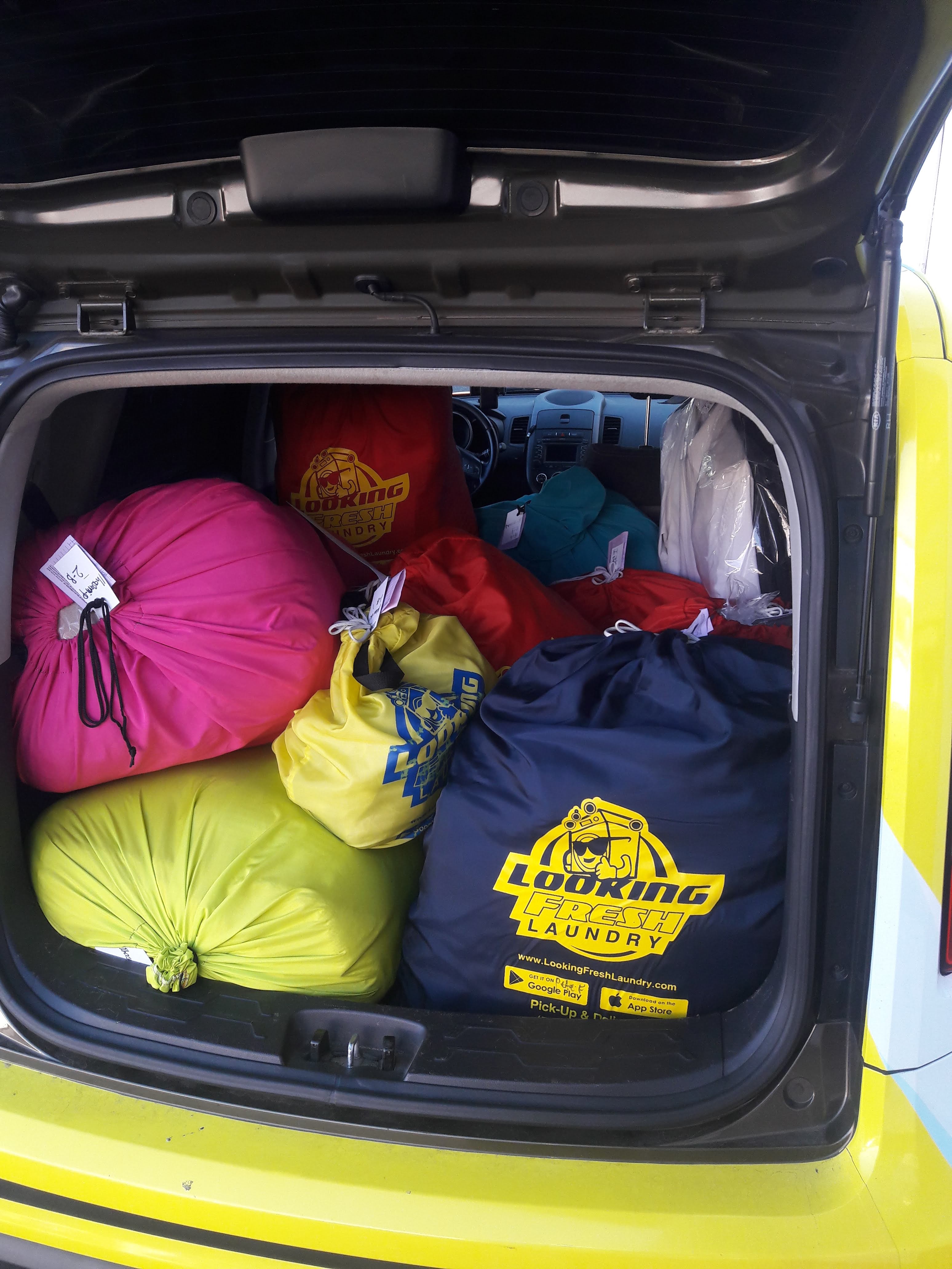 Self-service laundry at Looking Fresh Laundry, Lynbrook, NY