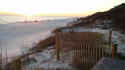 Photos of The Palms