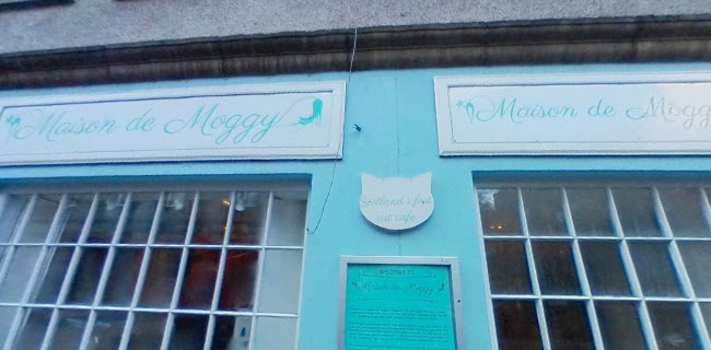 Maison de Moggy