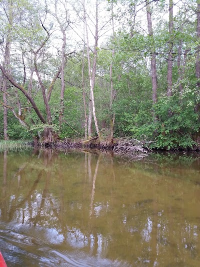 Photos of Kaltanėnai Manor Park