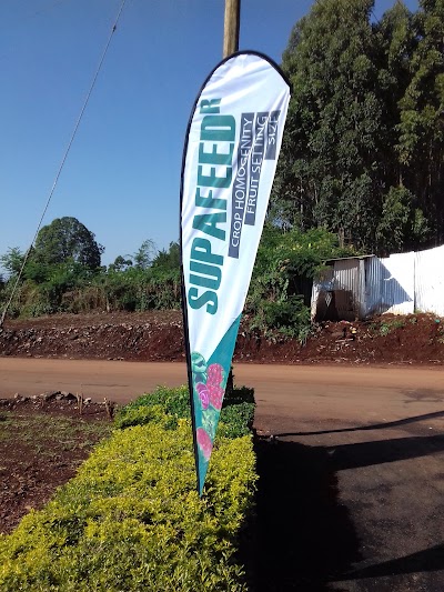 Photos of Sunshine Hotel - Upperhill