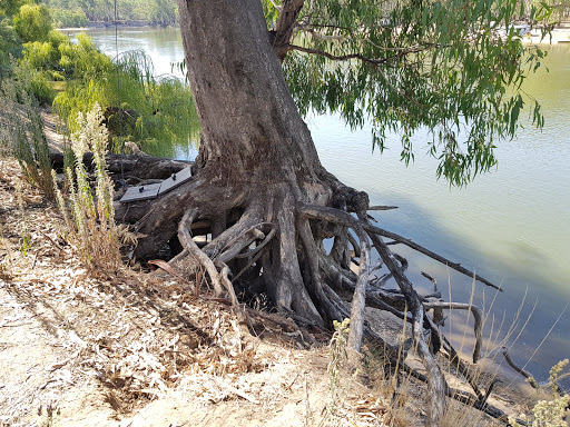 Mulwala campground - Thumbnail