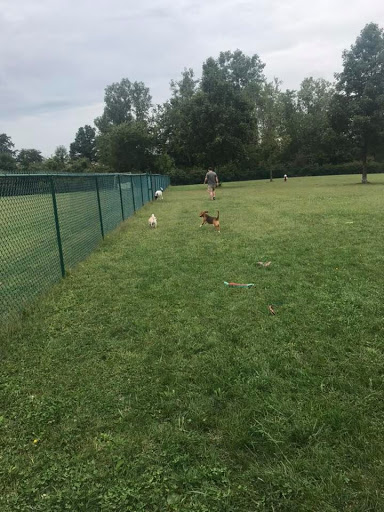 Defiance Bark And Run (Membership Required)