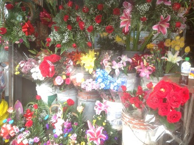 Photos of Kiosco Ana