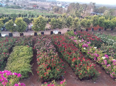 Birla Ganpati Temple