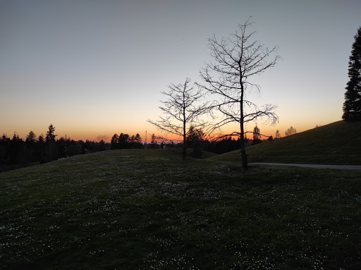 Gabriel Park - Visual