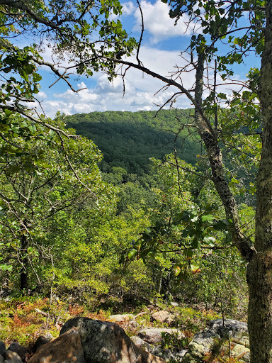 Coldwater Mountain Bike Trails, Anniston Trailhead Gallery - United States