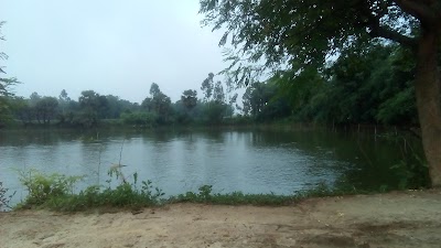 Photos of Tarata pond
