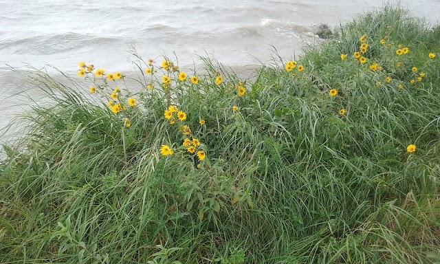 Lake Ilo National Wildlife Refuge