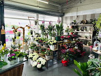 Marché Floral Sainte-Catherine à Sainte-Catherine