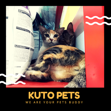 Kuto Pets Shop, Author: Kuto Pets Shop