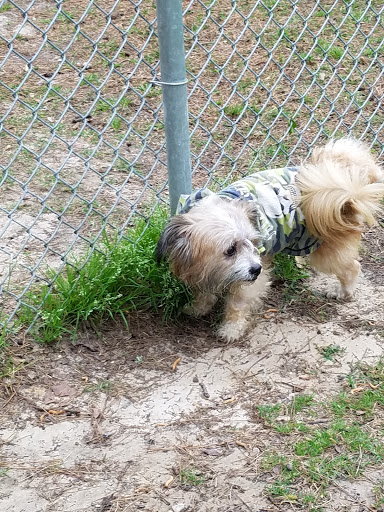 Lufkin Dog Park - Thumbnail