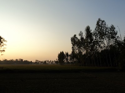 Photos of Mithapukur Ecopark
