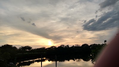 Photos of Suntex Marina at Jupiter