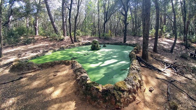 Parco costiero di Rimigliano