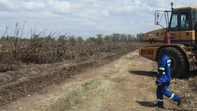 Photos of Nchalo Sugar Estate
