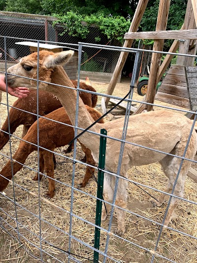 Carriage Shack Farm