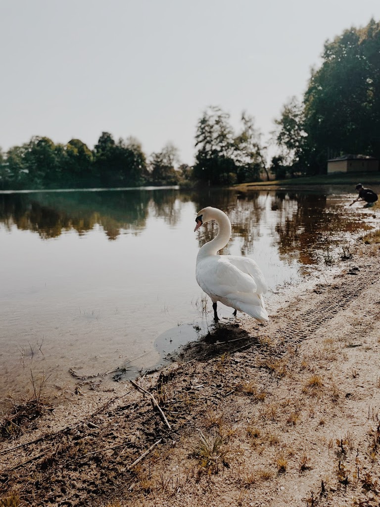 Jahnbad Weißwasser - Schwimmschulen Weißwasser/Oberlausitz